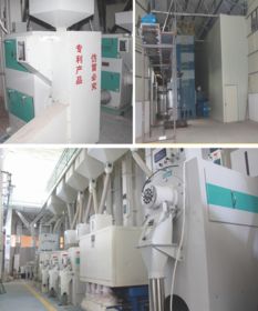 科技賦能，品質為本 揭秘大米企業贏得尊敬與信賴的秘訣