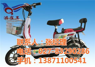 鴻雀王電動車 實力認證的品質制造商